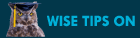 Wise Tips On